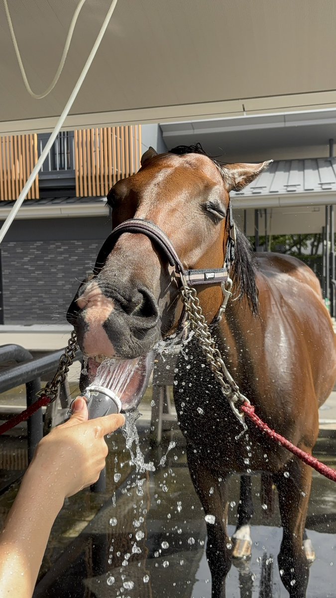 警視庁広報課 tweet media