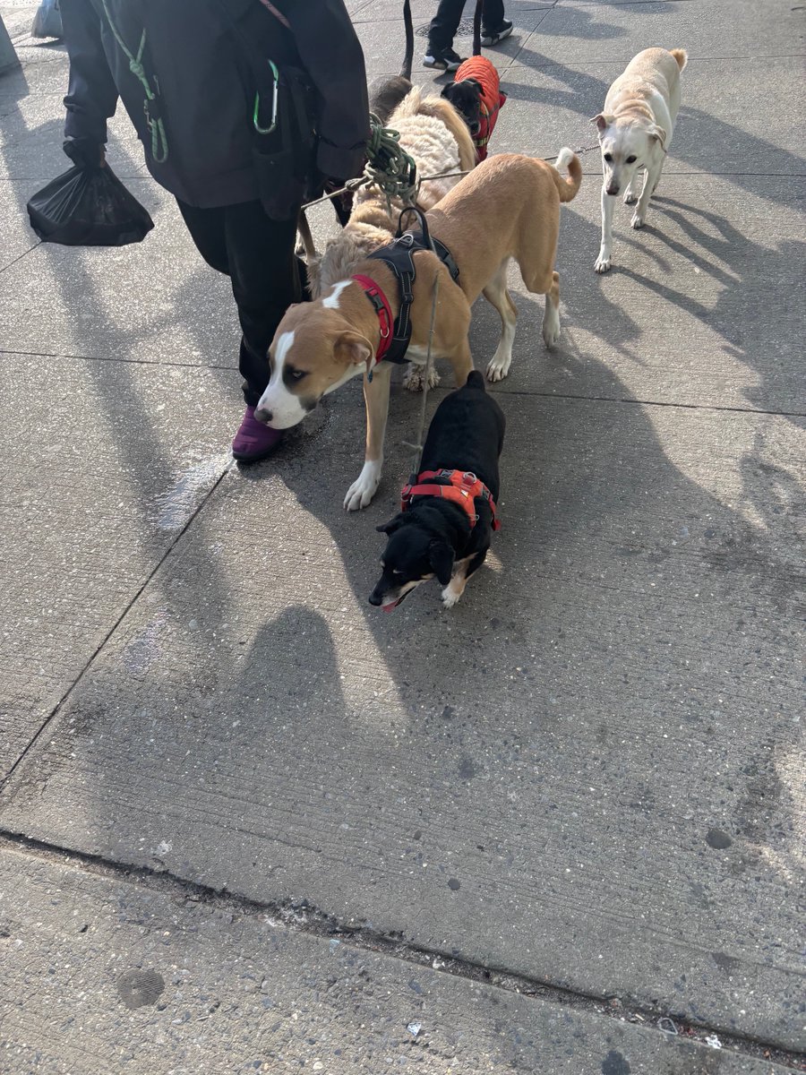 bagagwaa tweet media