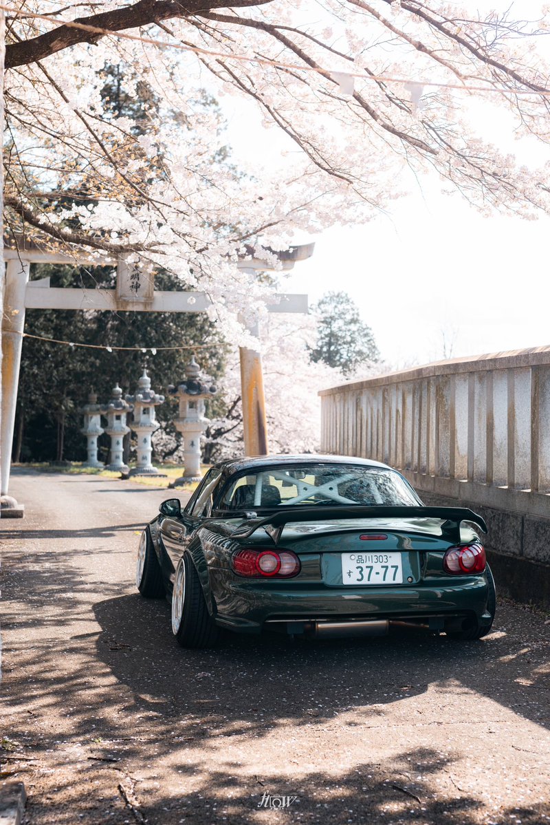 よへい tweet media