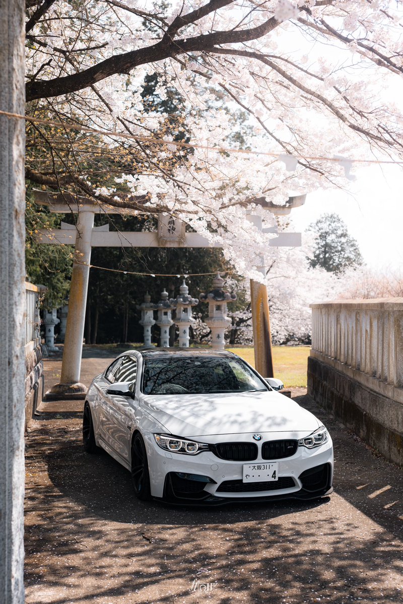 よへい tweet media