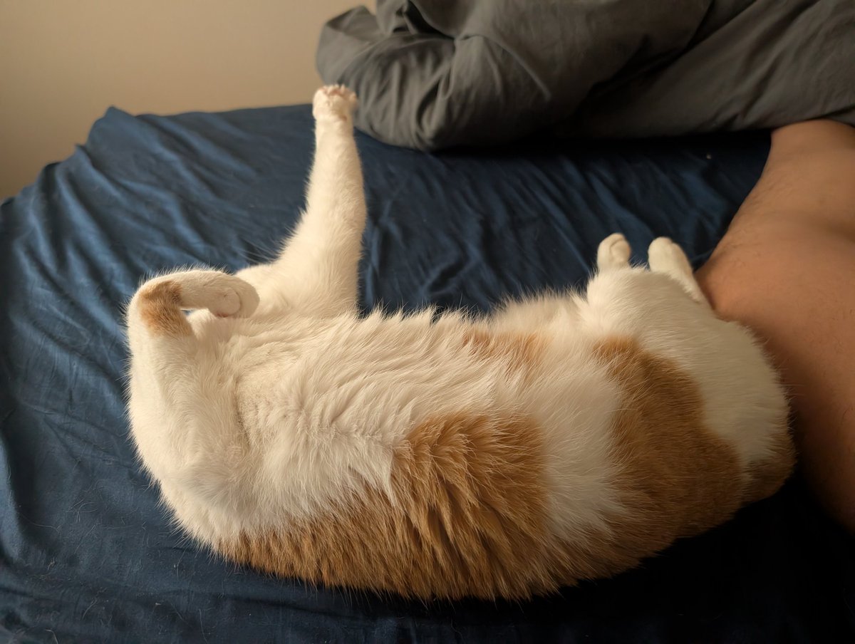 Debitto Lozano // MetAI CEO tweet media