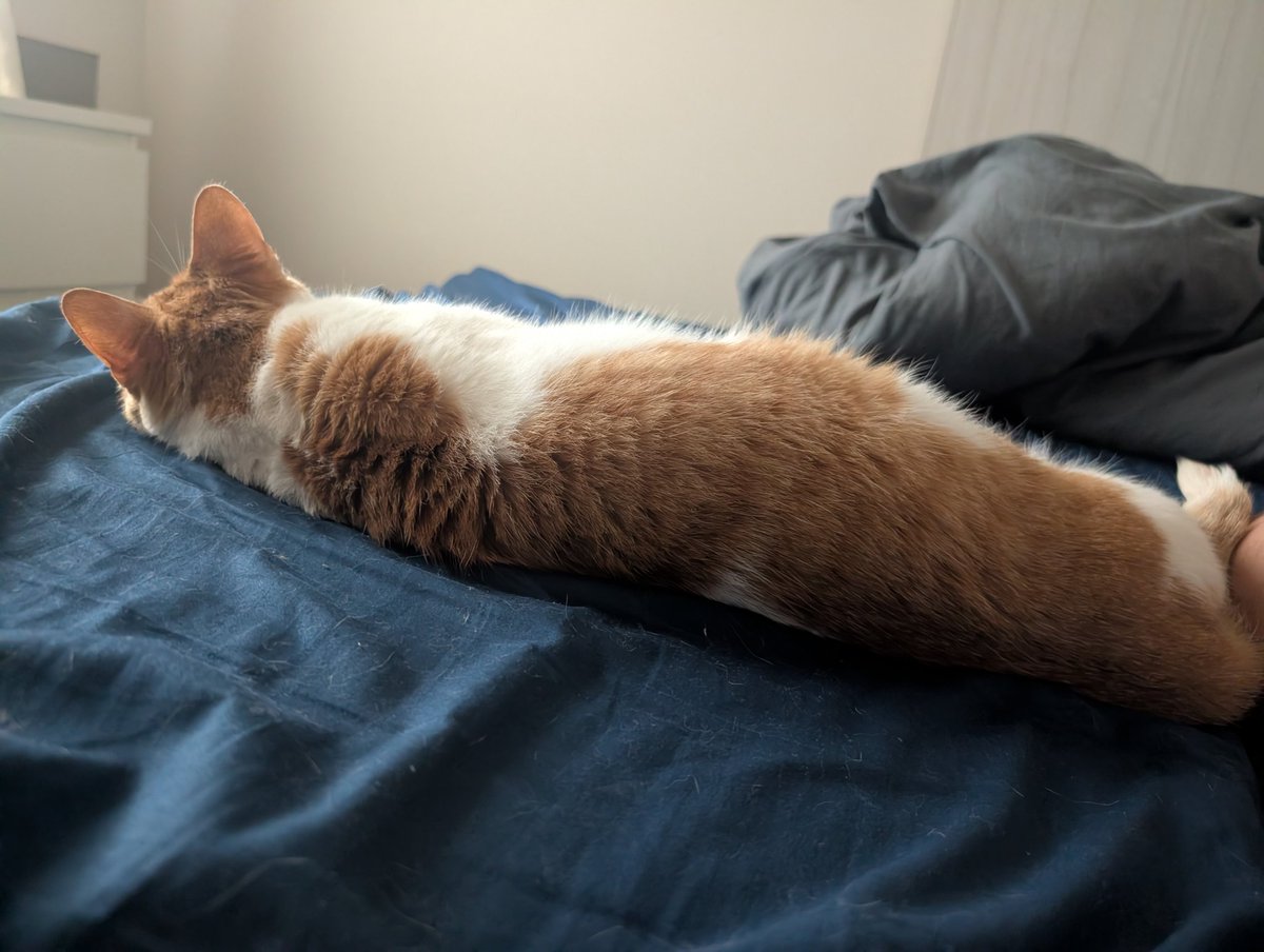 Debitto Lozano // MetAI CEO tweet media