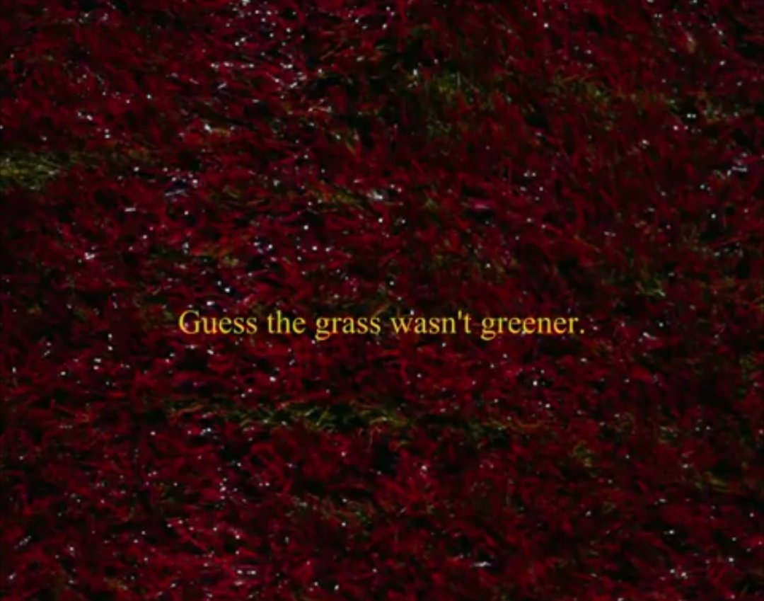 Owen Tooelve tweet media