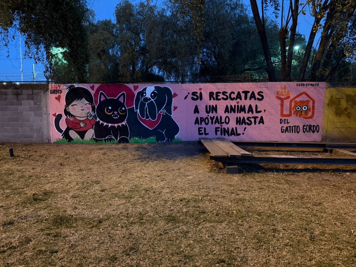 LA KASA DEL GATITO GORDO tweet media