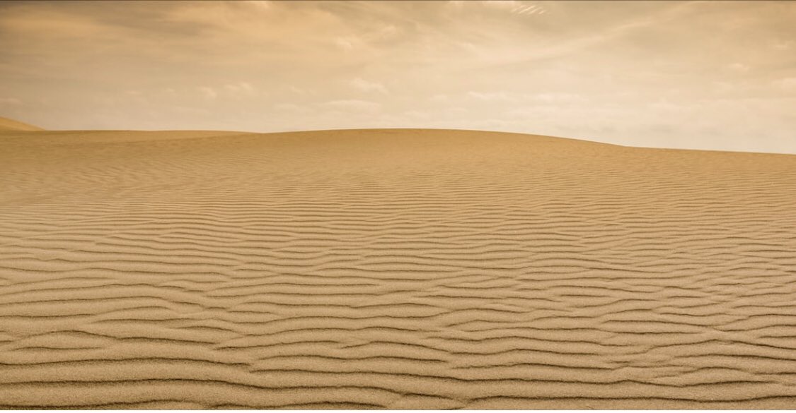 Albert Wang tweet media