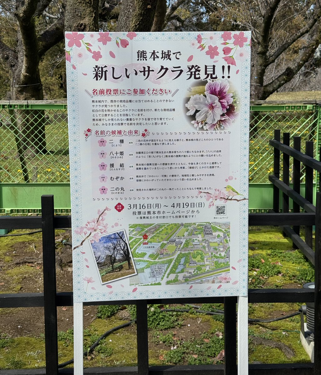 熊本城【公式】 tweet media