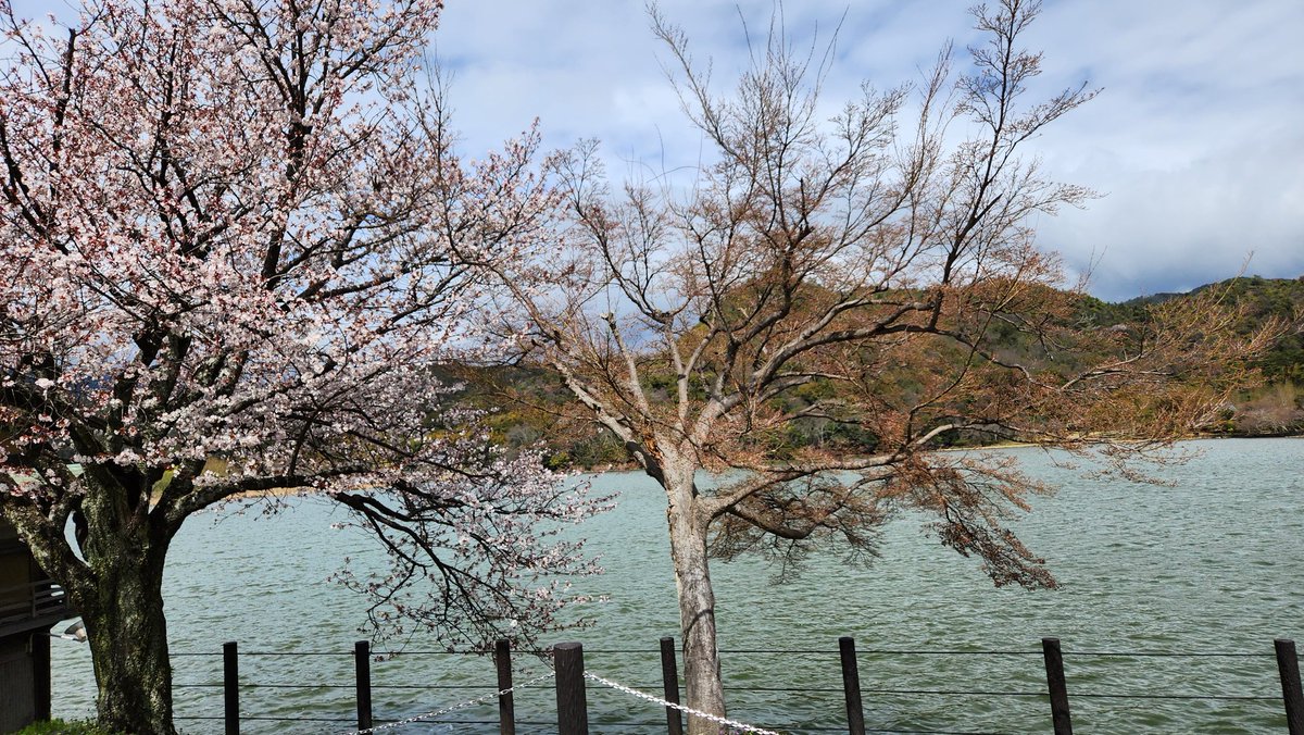 おっさん tweet media