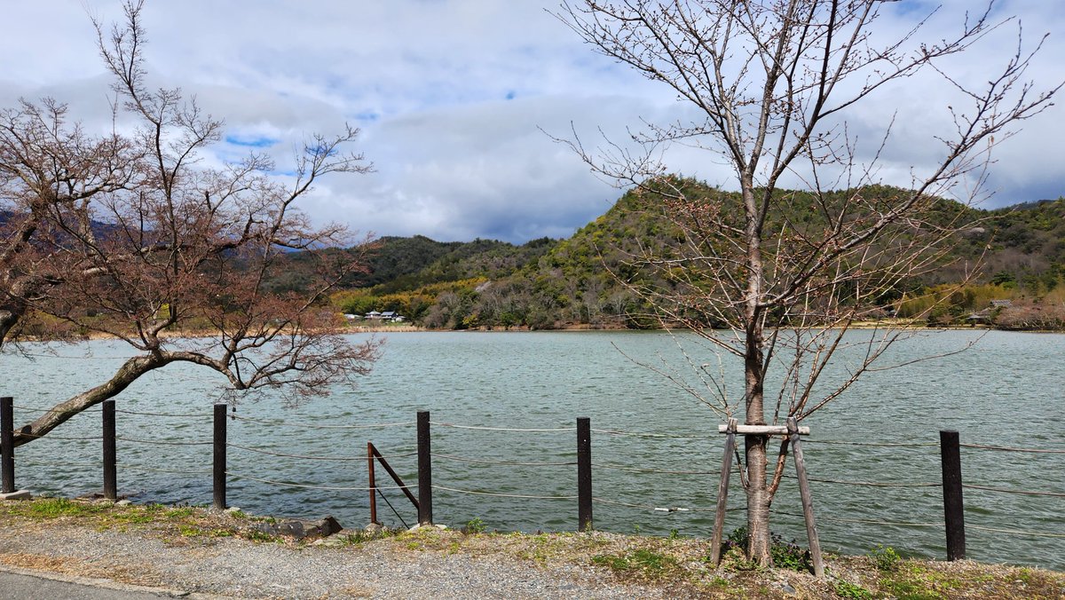 おっさん tweet media