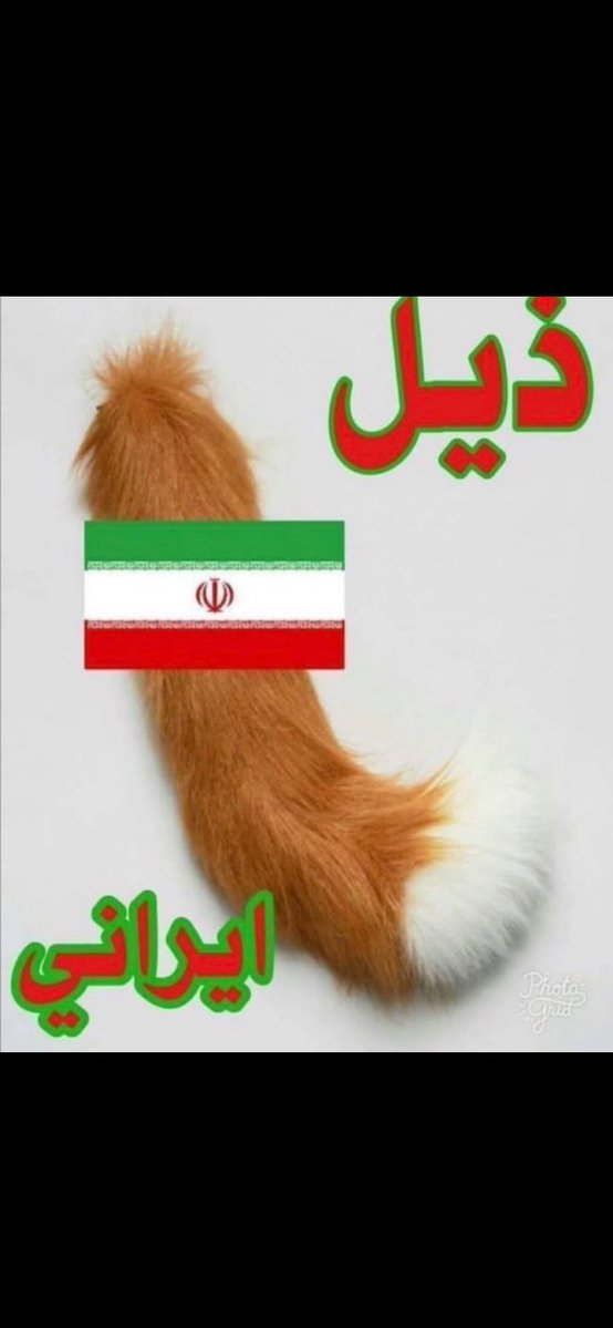 AboLAGEN tweet media