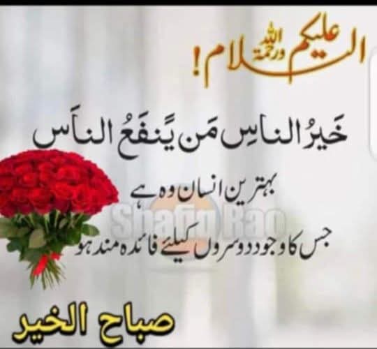 ◣𝑹𝒂𝒔𝒉𝒊𝒅 𝑺𝒂𝒕𝒕𝒊◥ tweet media