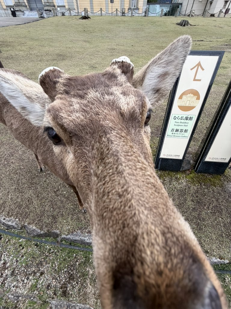 محمد tweet media