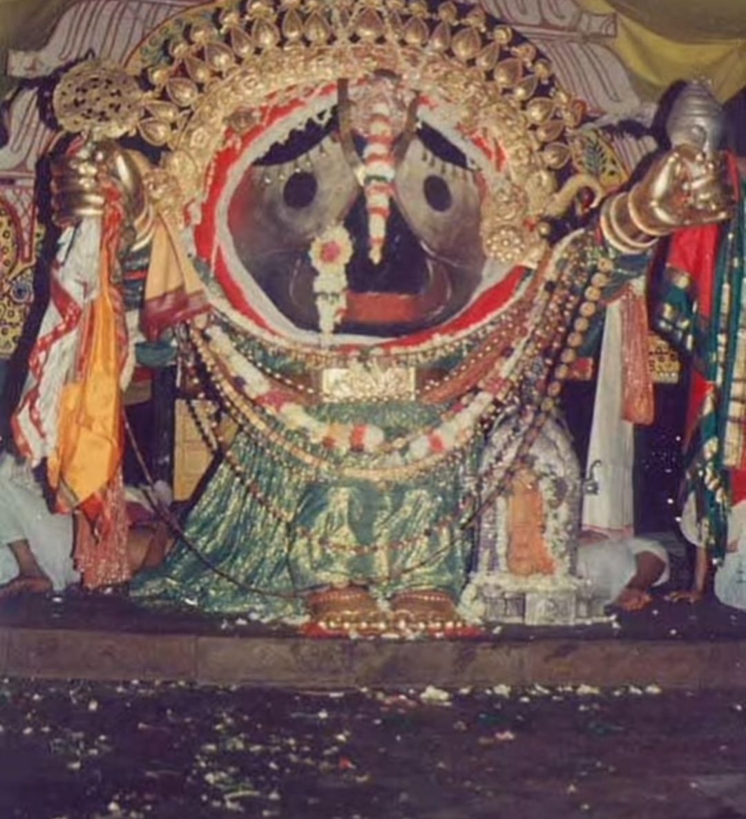 Prachee Nanda OSPS (।)🌵 tweet media