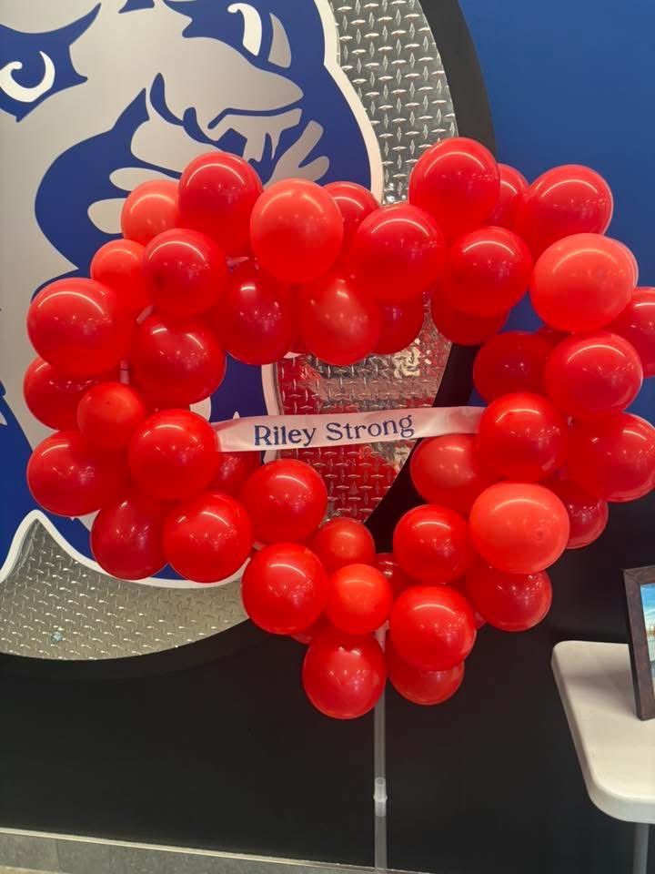 LHSCougarBVB tweet media