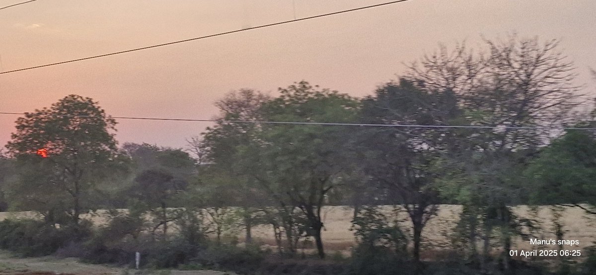 JaysAAP's tweet photo. The sun slips out quietly behind the trees...

Shot from a moving bus No 6

#Goodmorning
#theme_pic_india_sunrise 
#RoClicks https://t.co/USPsevQvPj