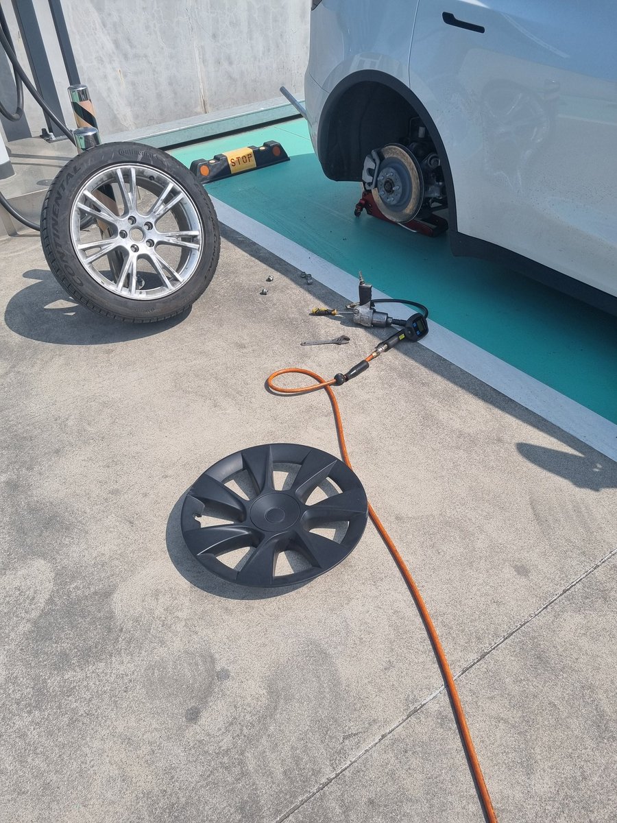 핑크토끼 tweet media