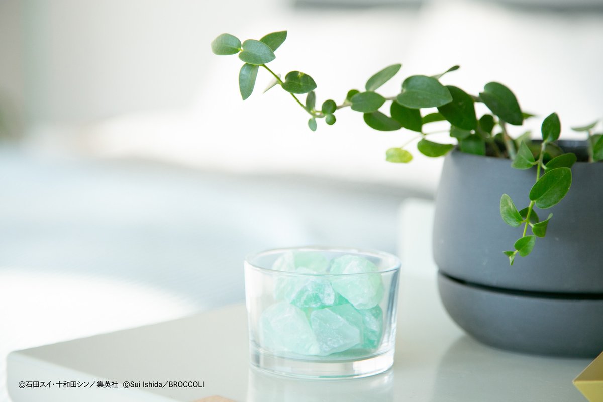 JACKJEANNE（ジャックジャンヌ）公式 tweet media