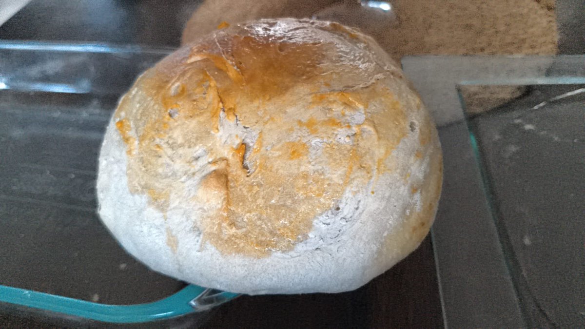 Antroid.ron 🦇 tweet media