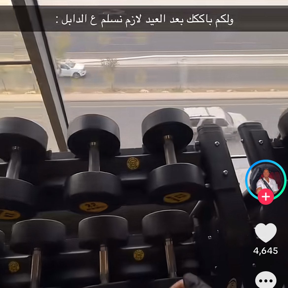 unique bird🪿 tweet media