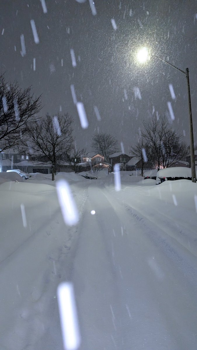 رامة جندلي tweet media