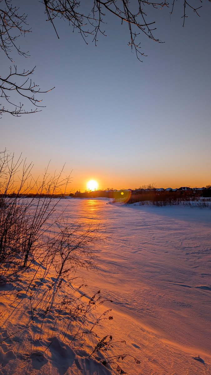 رامة جندلي tweet media