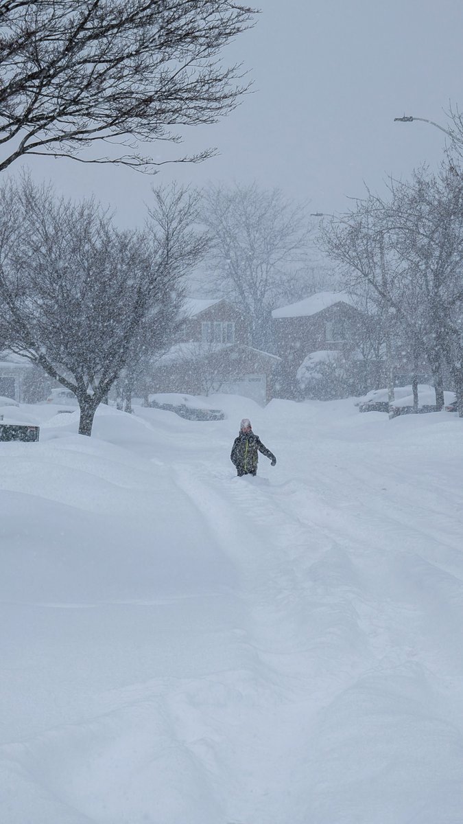 رامة جندلي tweet media