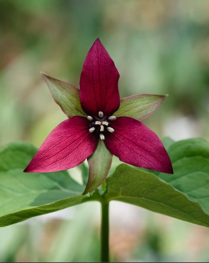 🌱 stick 🌱 tweet media