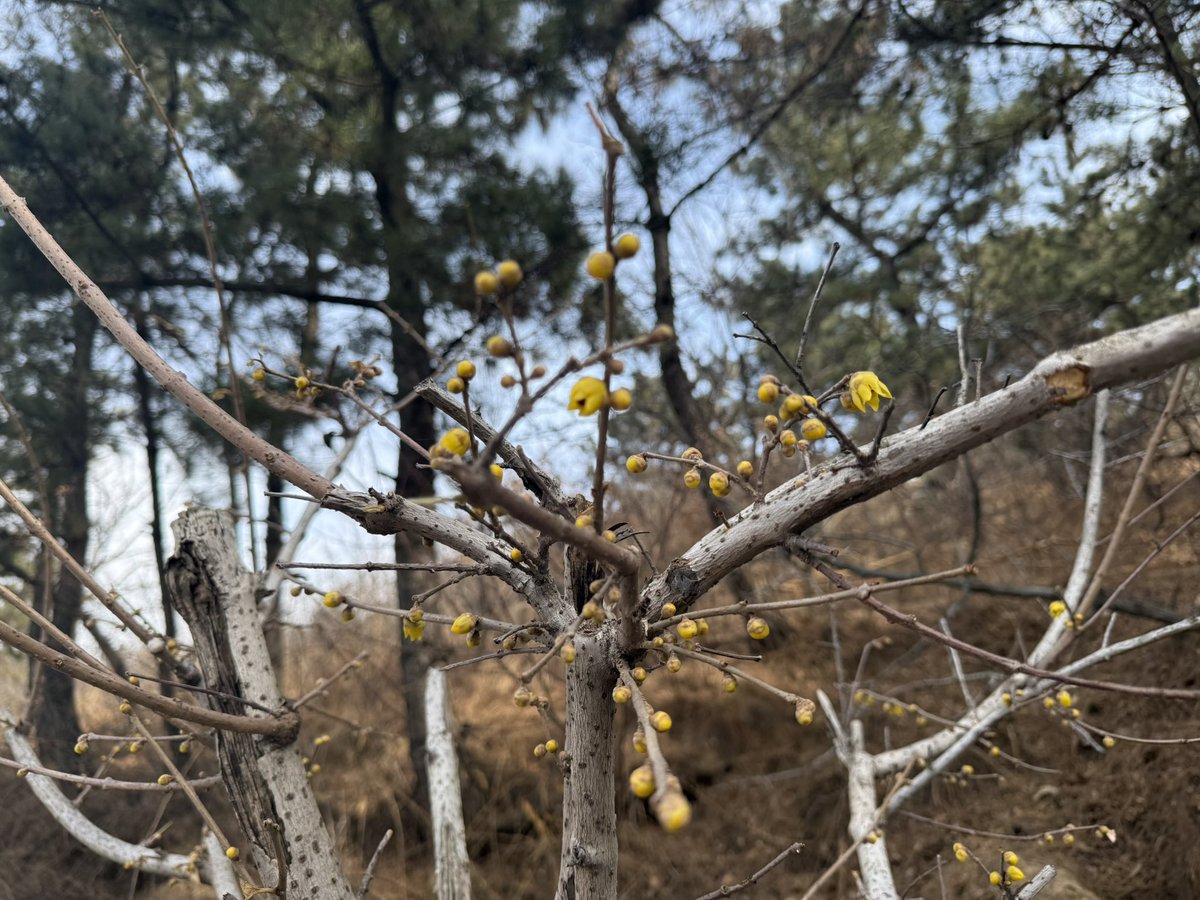 海拉鲁大侠 tweet media