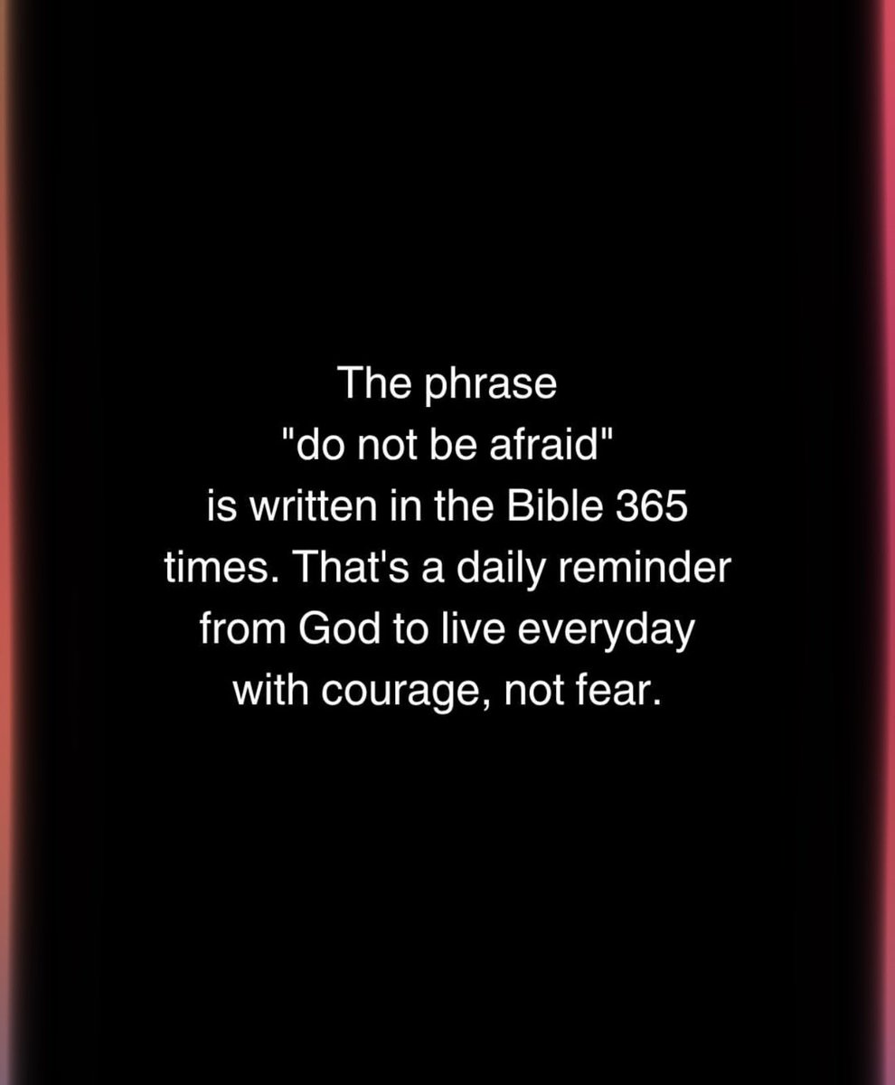 𒆜ʀoʟᴀɴᴅᴏ tweet media