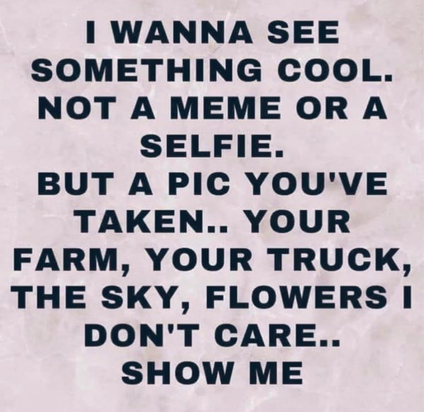 Trumplicans2024.com tweet media