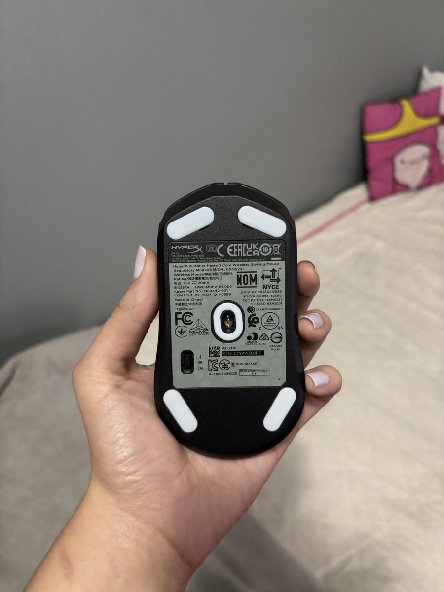 thayzão malvadeza tweet media