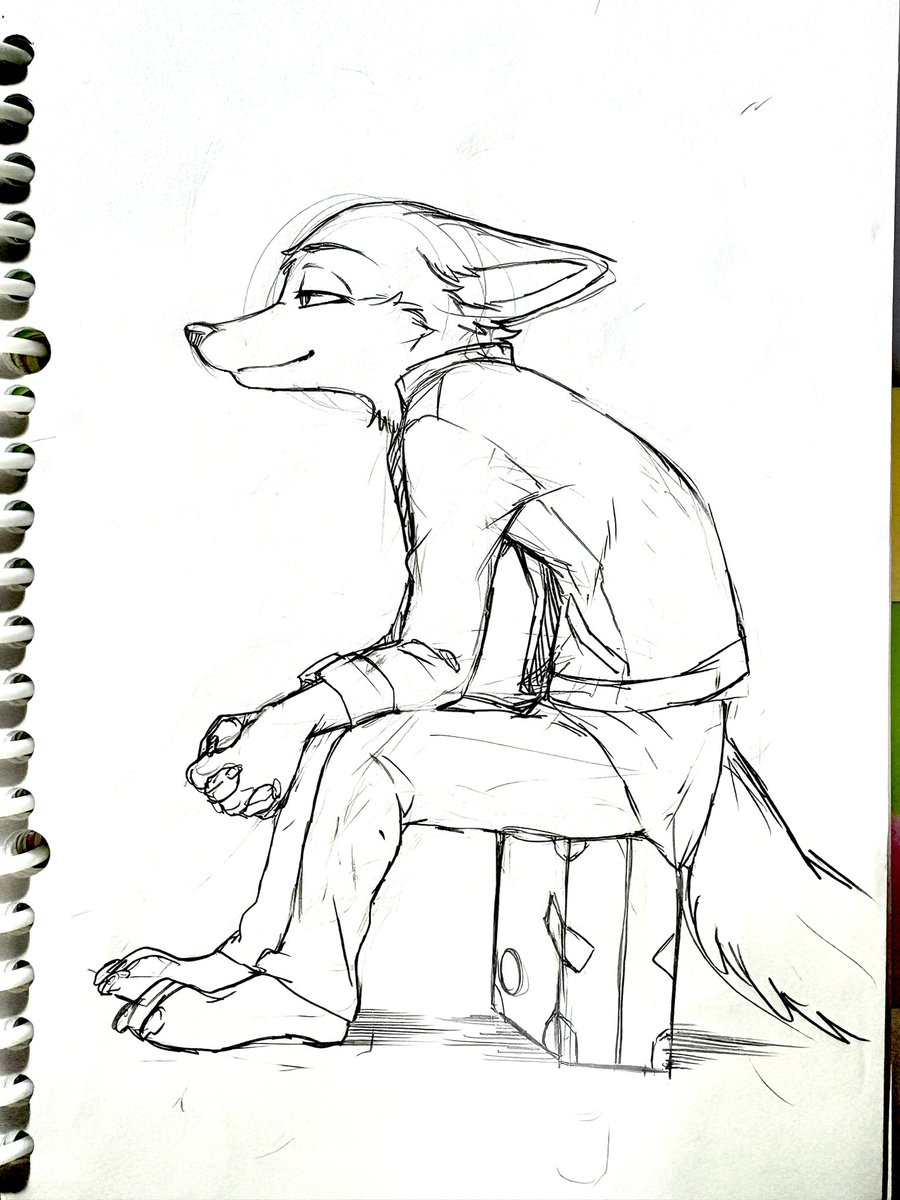 犬耳もえ太🔜関けもE-31、スパコミ tweet media