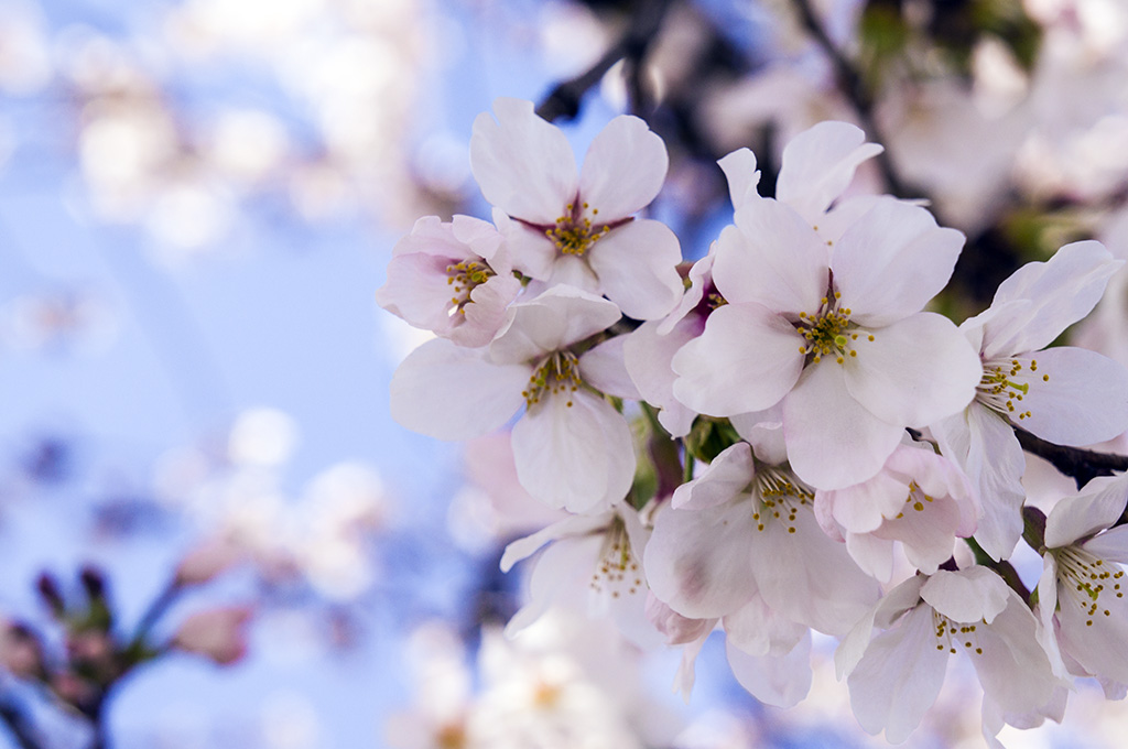 𝓟𝓻𝓲𝓷𝓬𝓮𝓼𝓼 tweet media