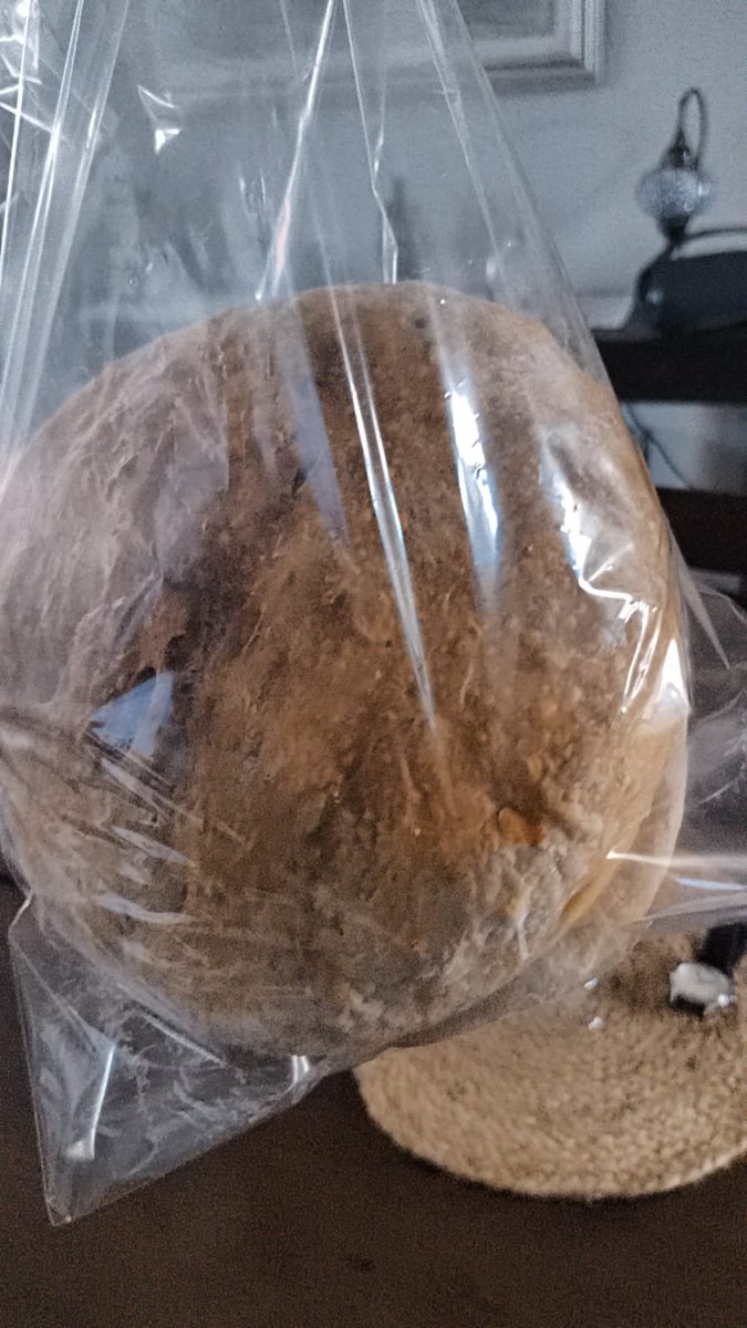 Antroid.ron 🦇 tweet media