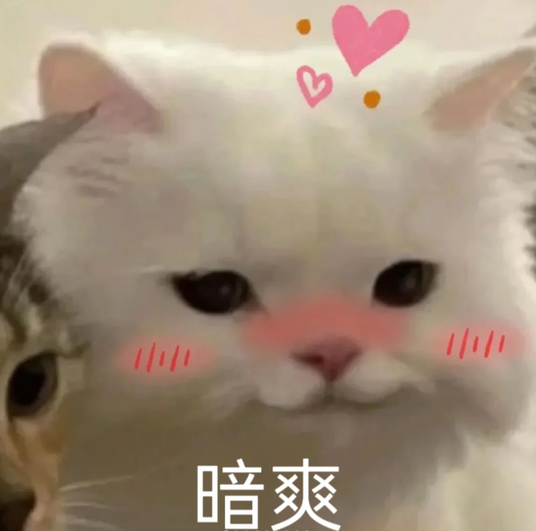 月光邮差/ tweet media