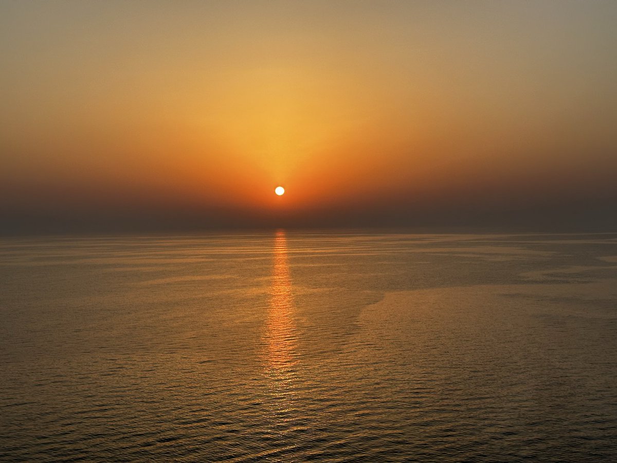 Triple C Industries tweet media