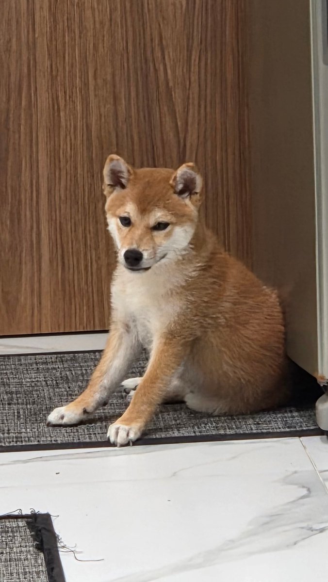 led da silva tweet media