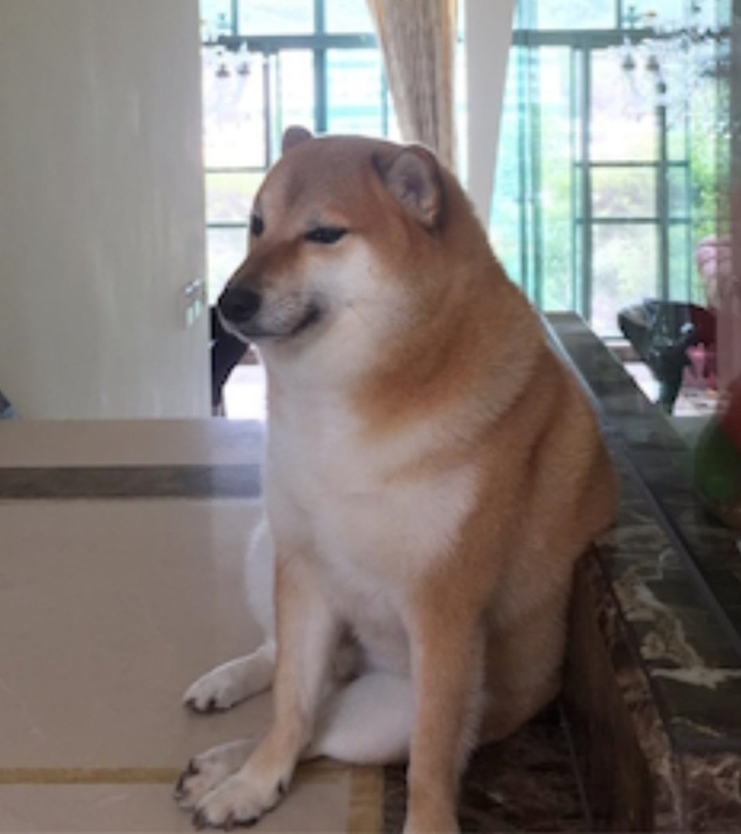 led da silva tweet media