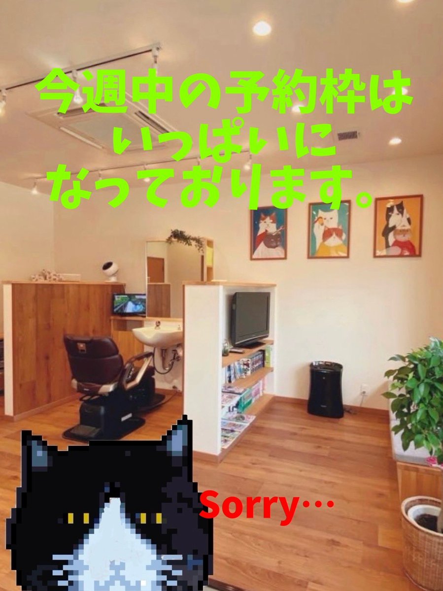 isola BARBER《イソラバーバー》予約優先制 tweet media