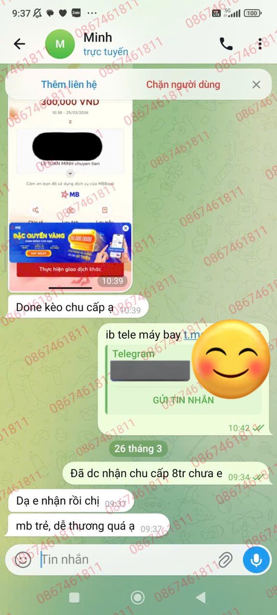 Minh Châu tweet media