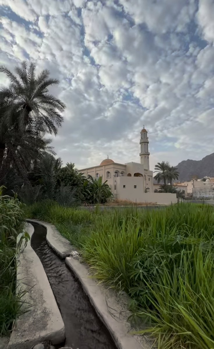 Abdullah Al Moqbali tweet media