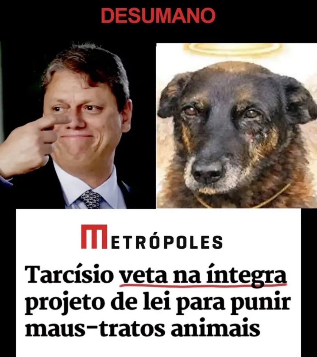 kaarolzx tweet media