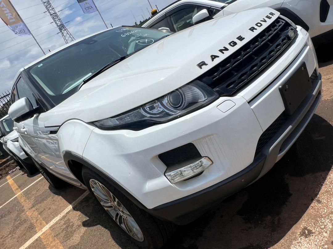 Dr. Aine @ Emotors tweet media