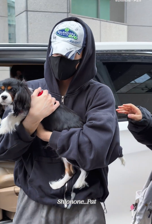 เลดี้บบ tweet media