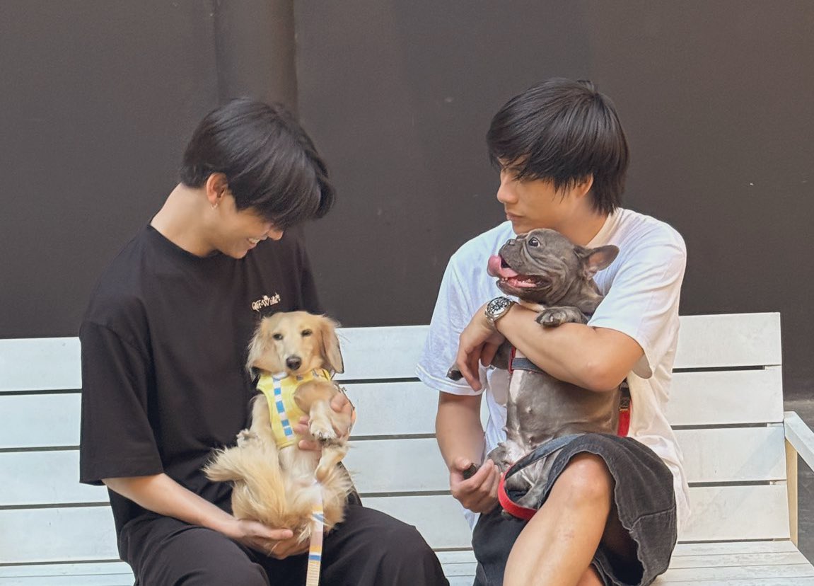 bibi♡૮ ◜ᵕ◝ ྀིა tweet media