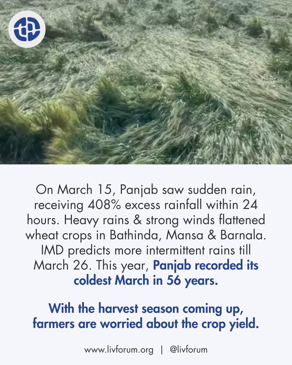 Liv Forum for Panjab and Sikh Affairs tweet media