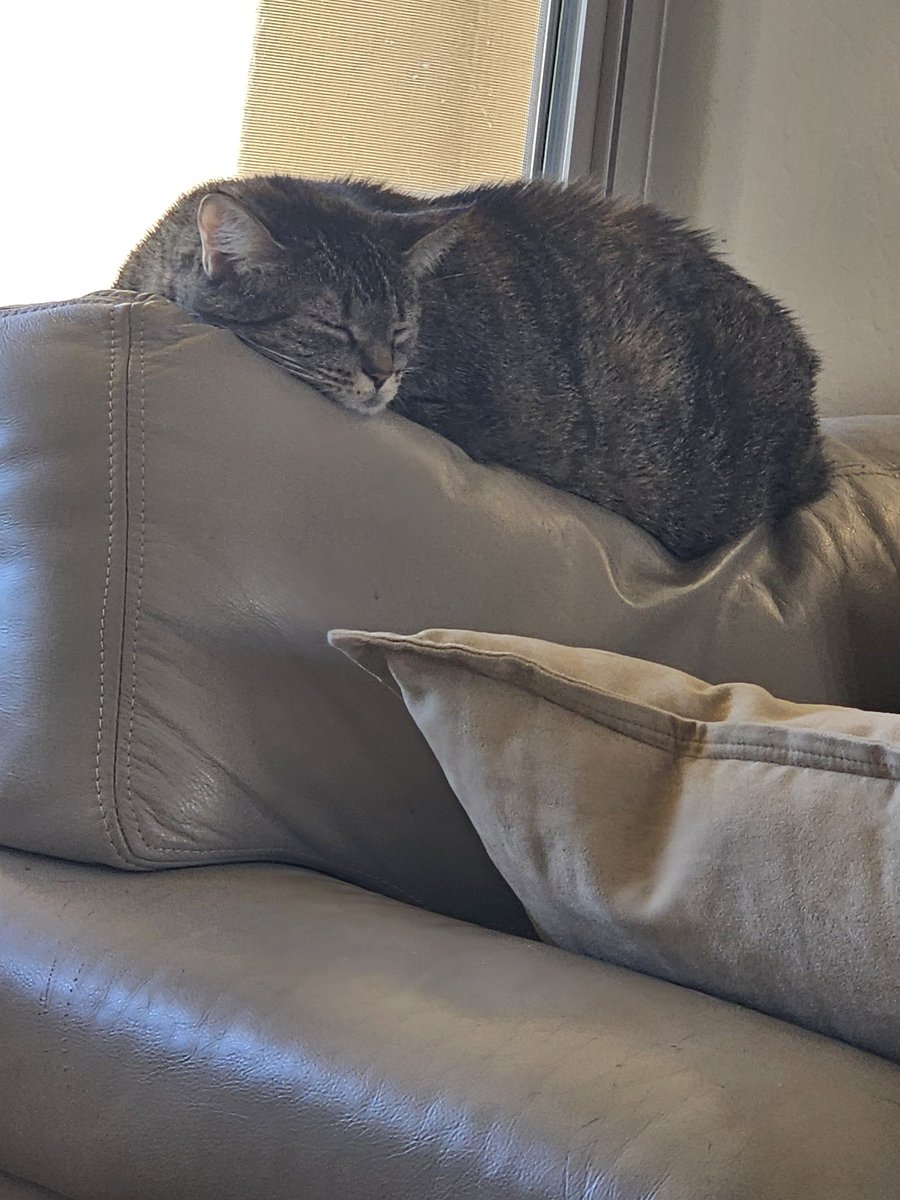 Godzilla tweet media