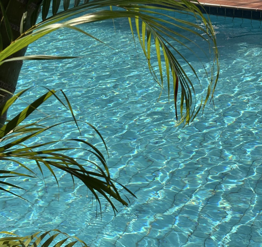 Bubblebeer tweet media