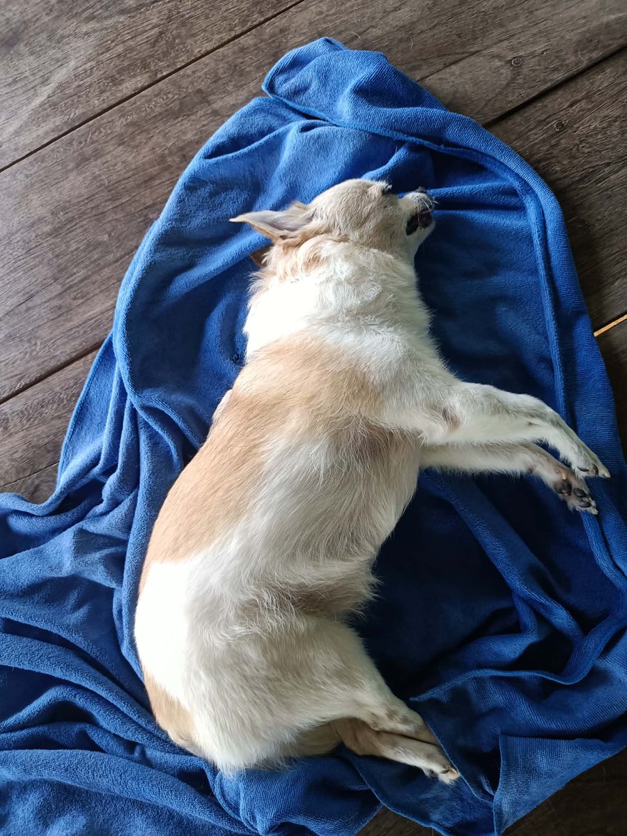 Nong Meið
(āļŠāļēāļ§āļŠāļāļāļāļ°) tweet media