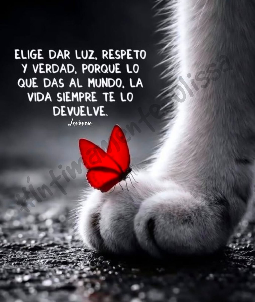 Julissa Martinez tweet media