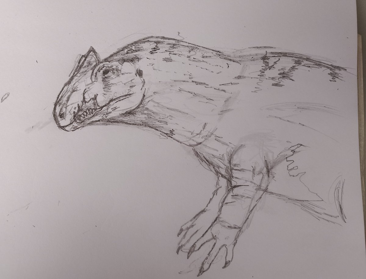 🇲🇽ゴジラ raz godzillaゴジラ🇲🇽 tweet media